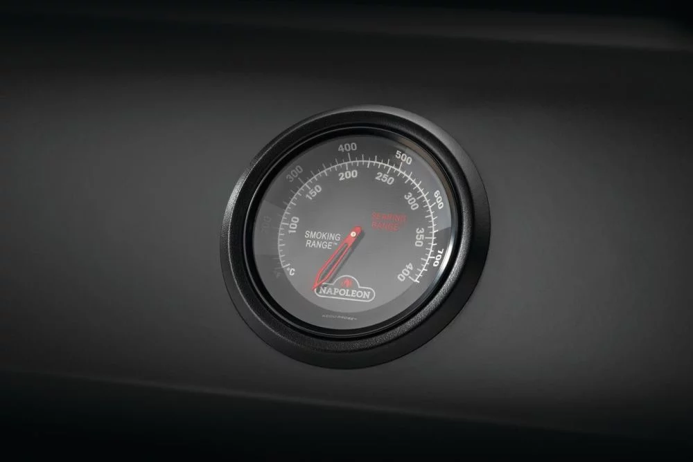 Termometr Accu-Probe