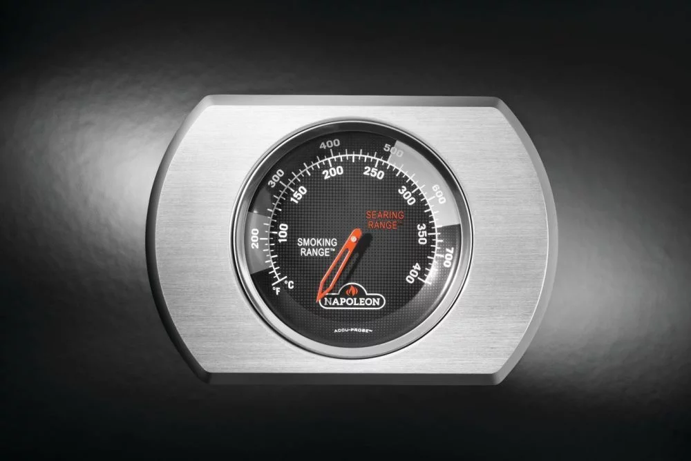 Termometr ACCU-PROBE™