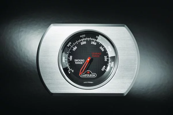 Termometr Accu-Probe