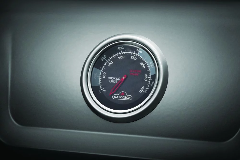 Termometr Accu-Probe